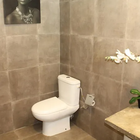 Ananda בית הארחה